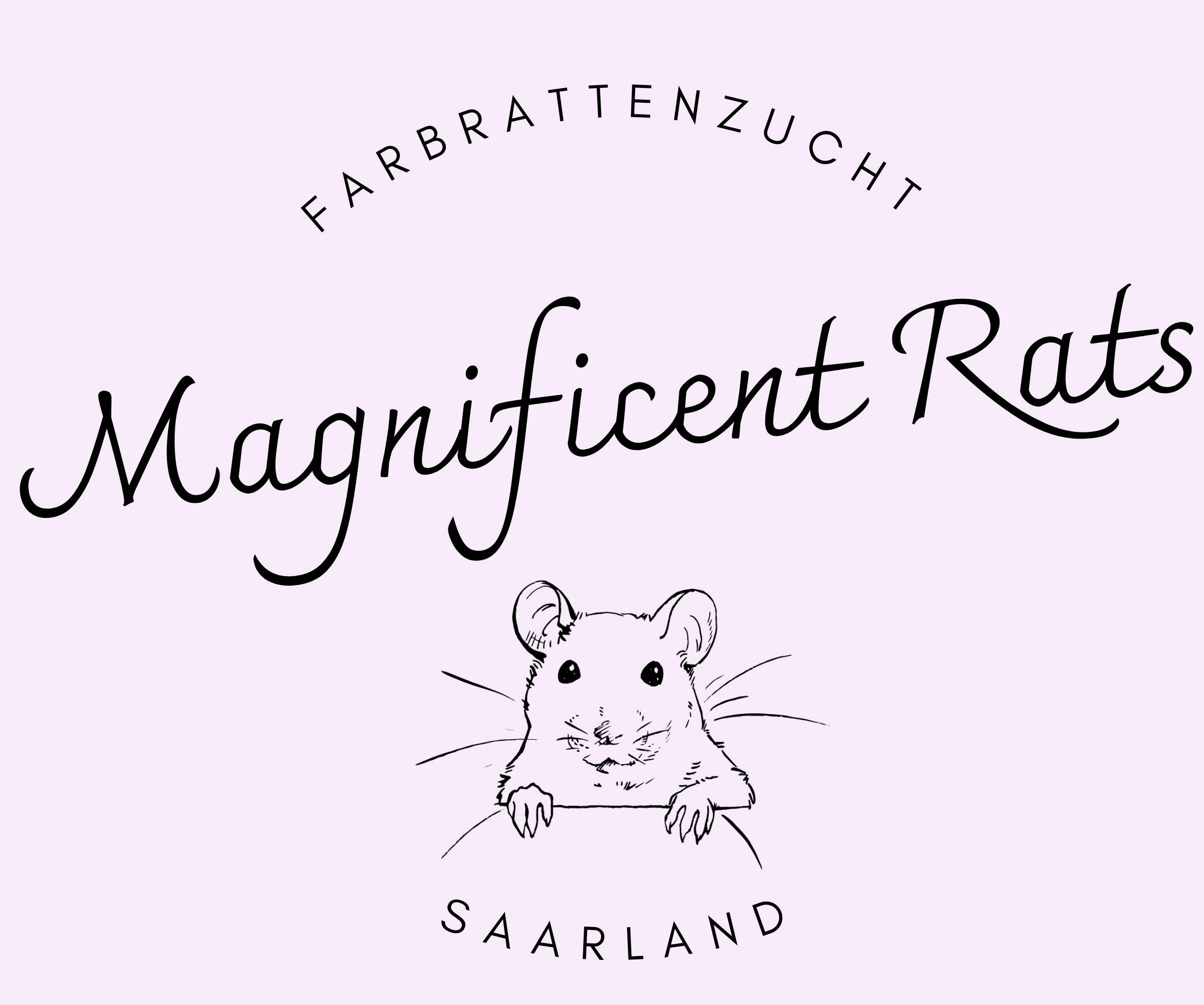 Magnificent Rats Farbrattenzucht Saarland 